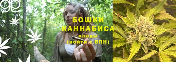 ГАЛЛЮЦИНОГЕННЫЕ ГРИБЫ Надым
