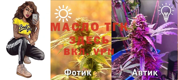 mix Богородицк