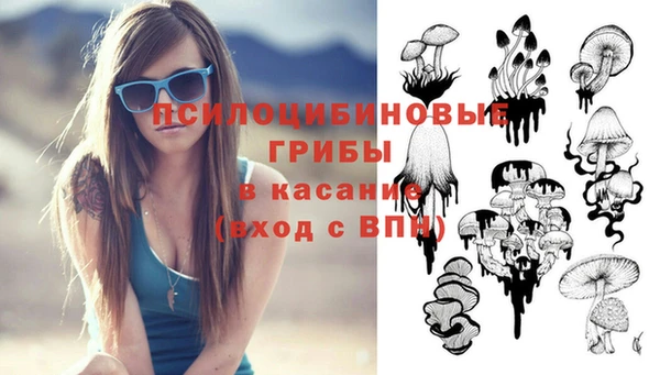 Альфа ПВП Апатиты