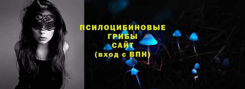 где купить   Тавда  Псилоцибиновые грибы Magic Shrooms 