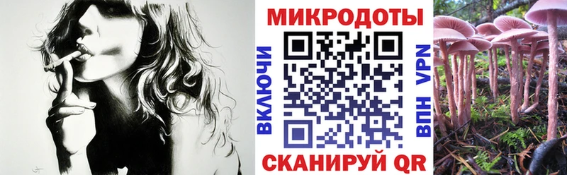 Галлюциногенные грибы Cubensis  маркетплейс формула  Тавда 