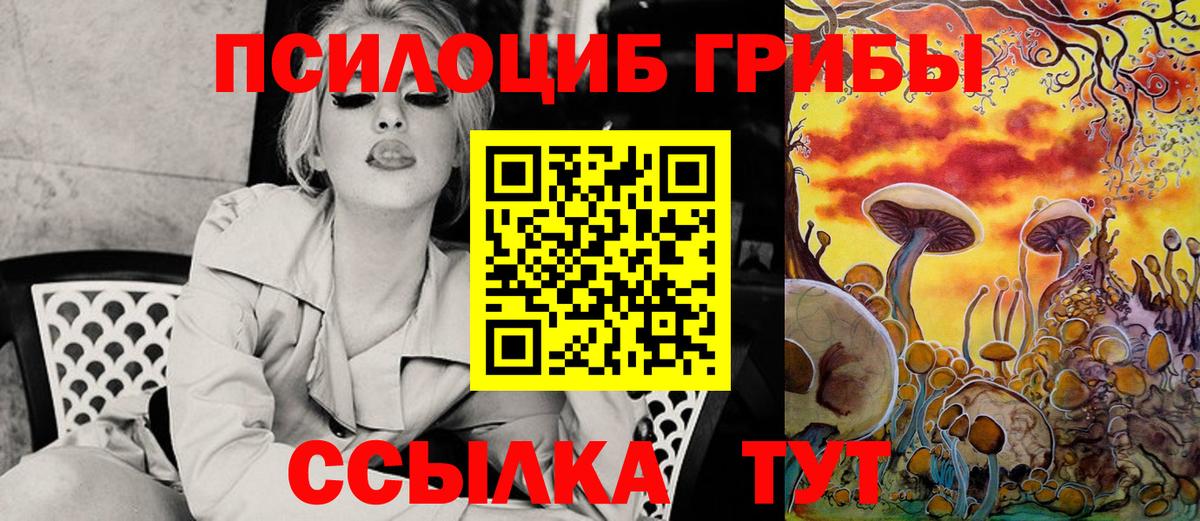 Галлюциногенные грибы Cubensis Тавда
