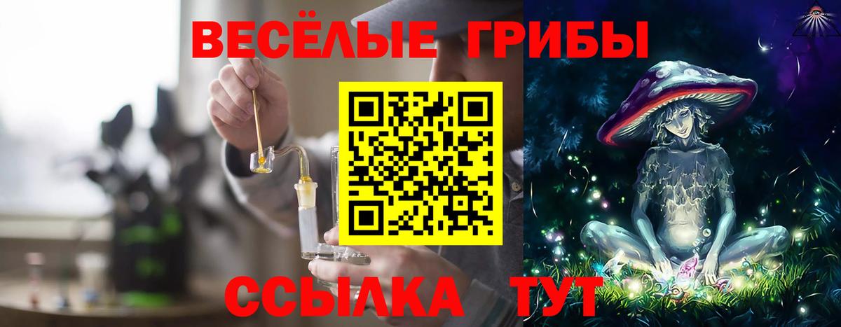 Псилоцибиновые грибы прущие грибы  Вход с VPN  Тавда 