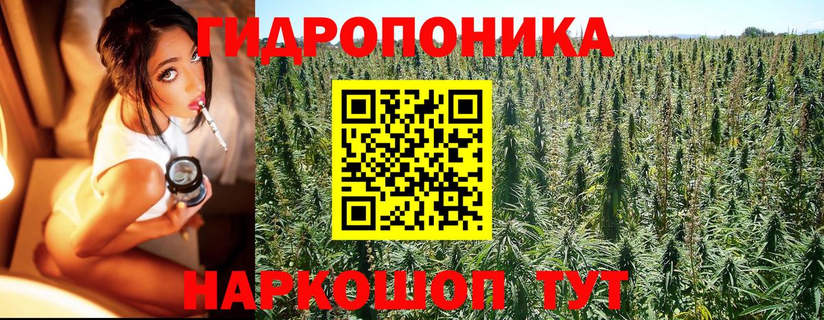 Бошки Шишки White Widow  Бошки марихуана VHQ  Тавда  Вход с VPN  Канабис LSD WEED 